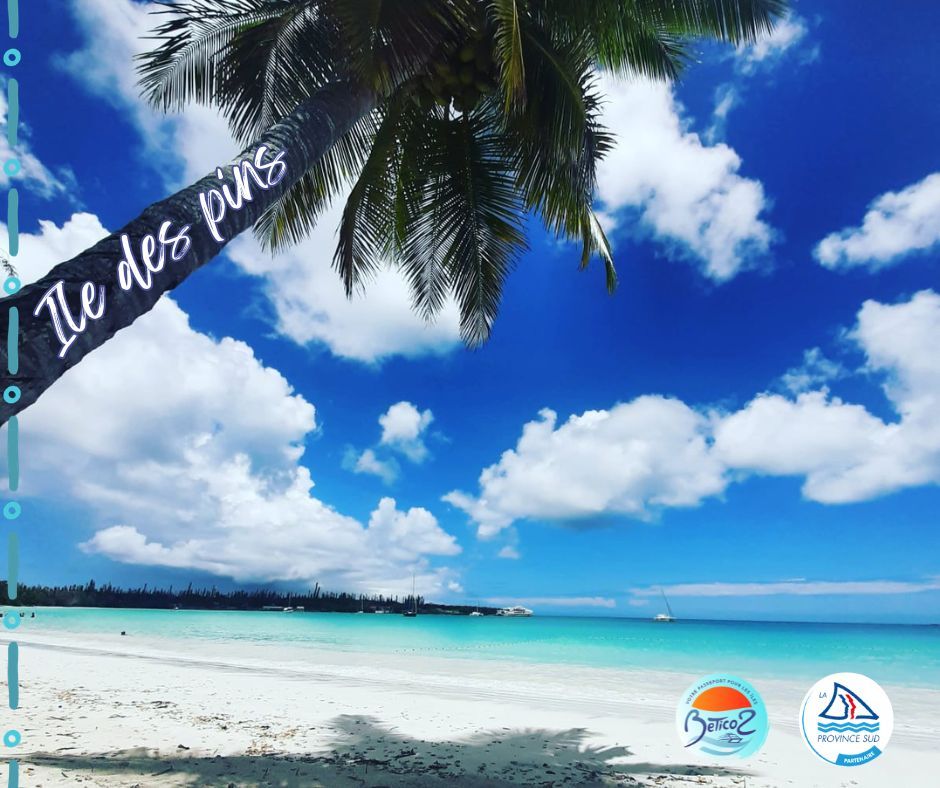 Offre LIGHT et SUPER LIGHT